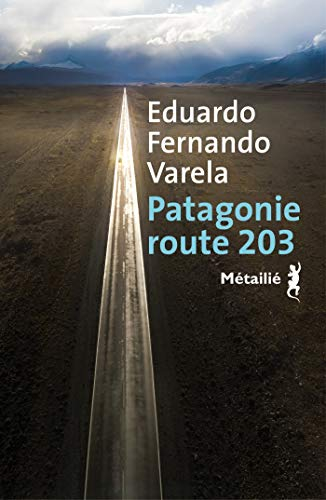 Patagonie route 203