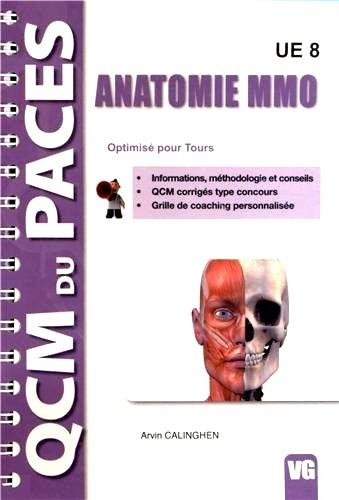 Anatomie MMO : optimisé pour Tours