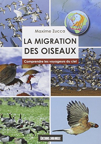 La migration des oiseaux : comprendre les voyageurs du ciel