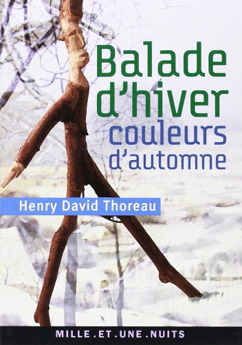 Balade d'hiver. Couleurs d'automne