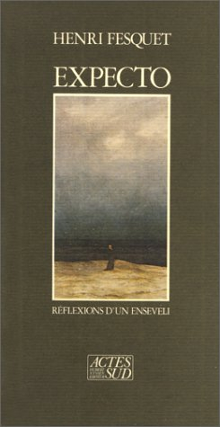 Expecto ou les Réflexions d'un enseveli