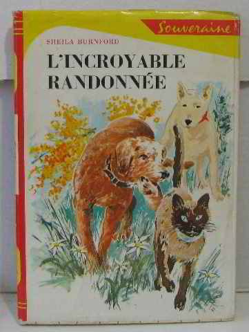 l'incroyable randonnée