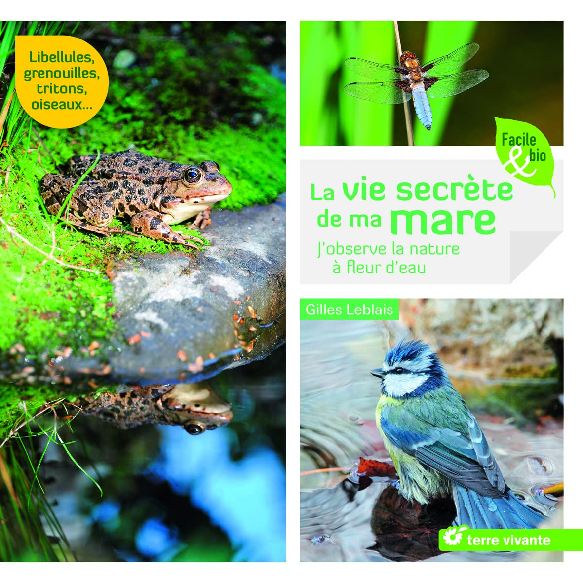 La vie secrète de ma mare : j'observe la nature à fleur d'eau