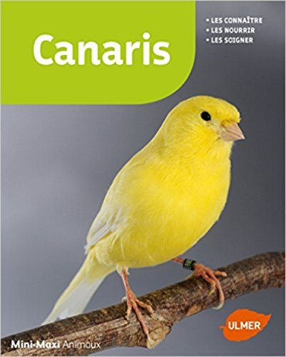 Canaris : les connaître, les nourrir, les soigner