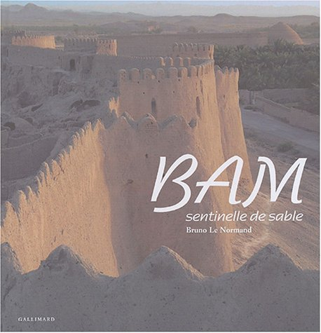 Bam : sentinelle de sable