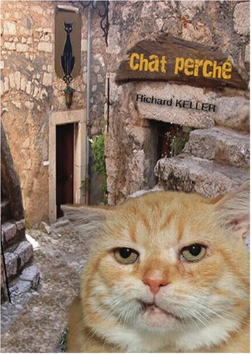 Chat perché