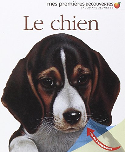 Le chien