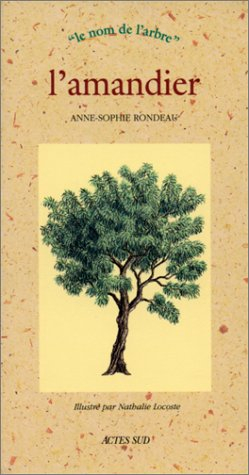 l'amandier