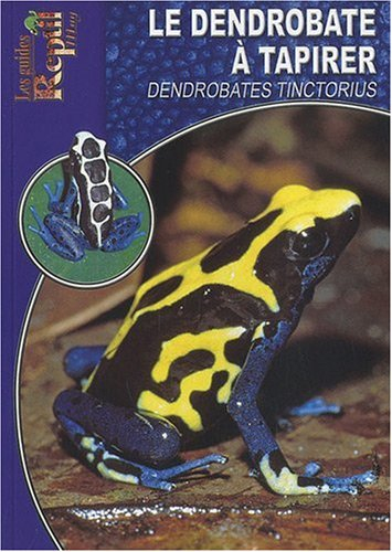 Le dendrobate à tapirer : Dendrobates tinctorius