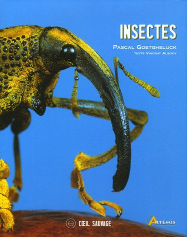 Insectes