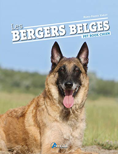 Les bergers belges