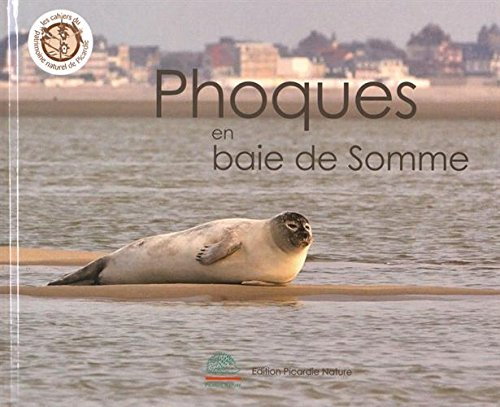 Phoques en baie de Somme