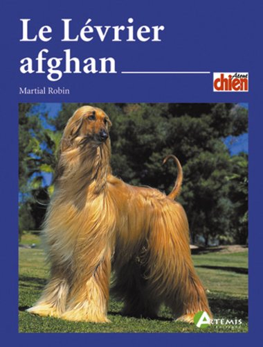 Le lévrier afghan