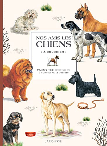 Nos amis les chiens à colorier : planches détachables à colorier ou à peindre