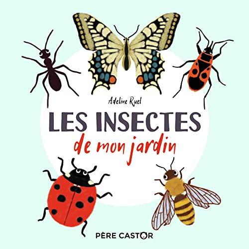 Les insectes de mon jardin