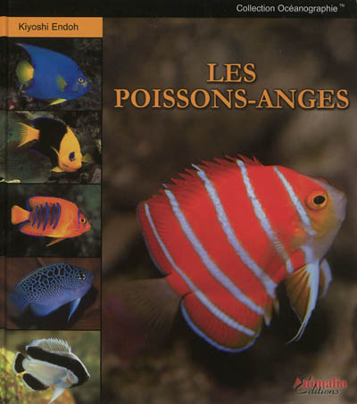 Les Poissons-anges