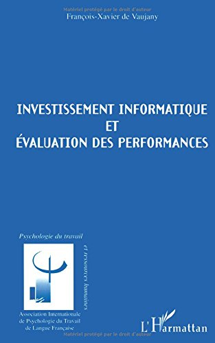 Investissement informatique et évaluation des performances