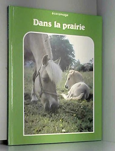 Dans la prairie