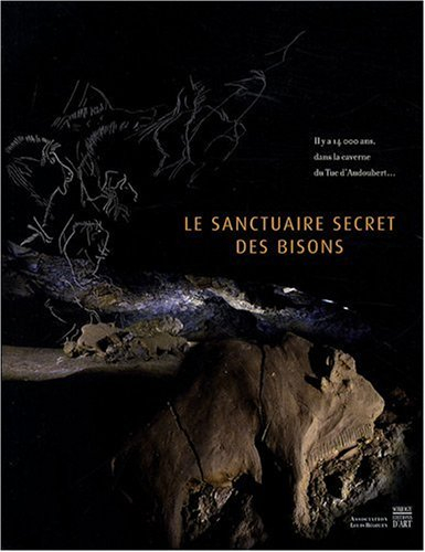 Le sanctuaire secret des bisons : il y a 14.000 ans, l'art et la vie des Magdaléniens dans la cavern