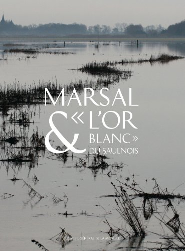 Marsal & l'or blanc du Saulnois : le Musée départemental du sel de Marsal