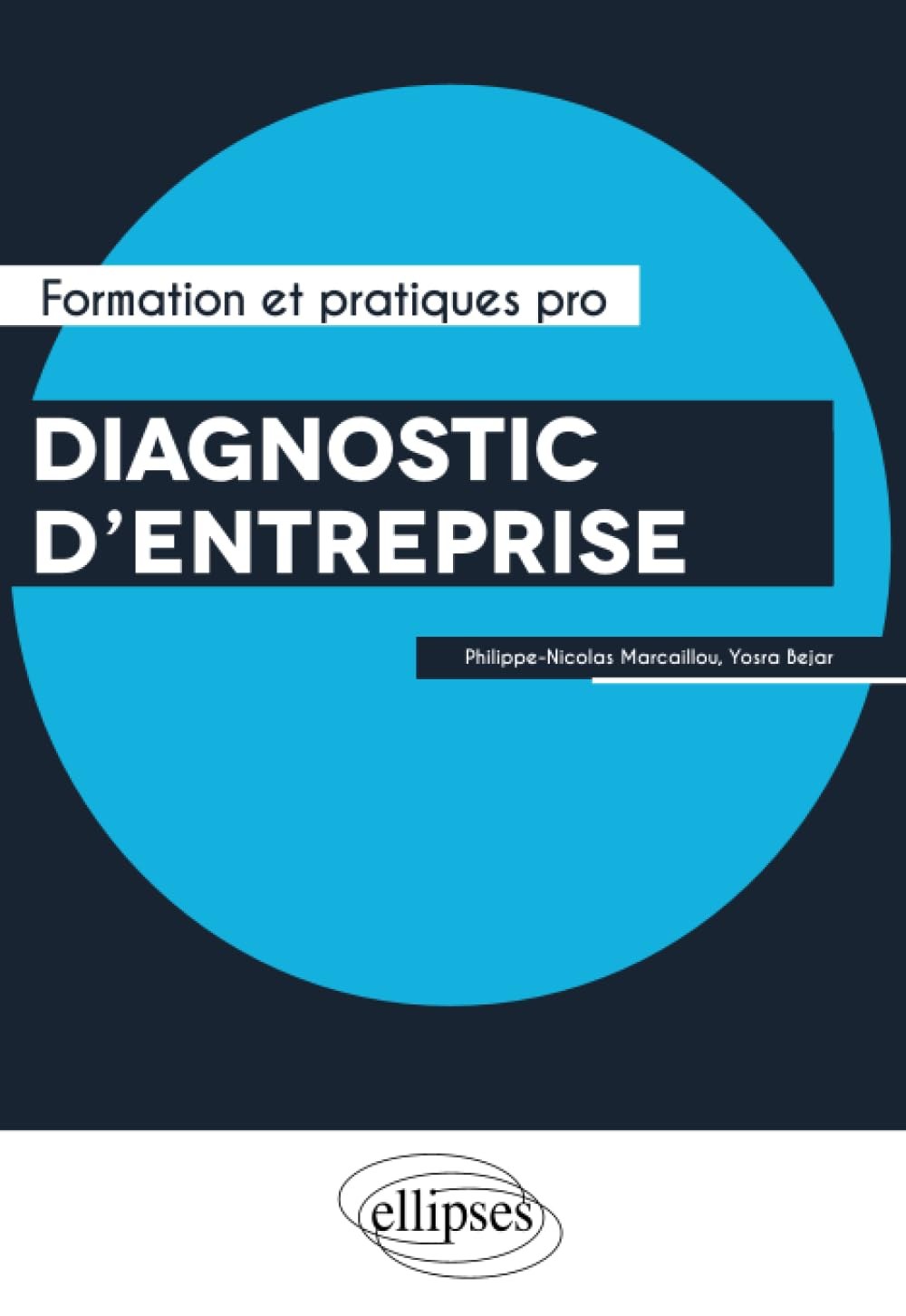 Diagnostic d'entreprise : performance, capital immatériel et risques