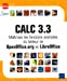Calc 3.3 : maîtriser les fonctions avancées du tableur de OpenOffice.org et LibreOffice