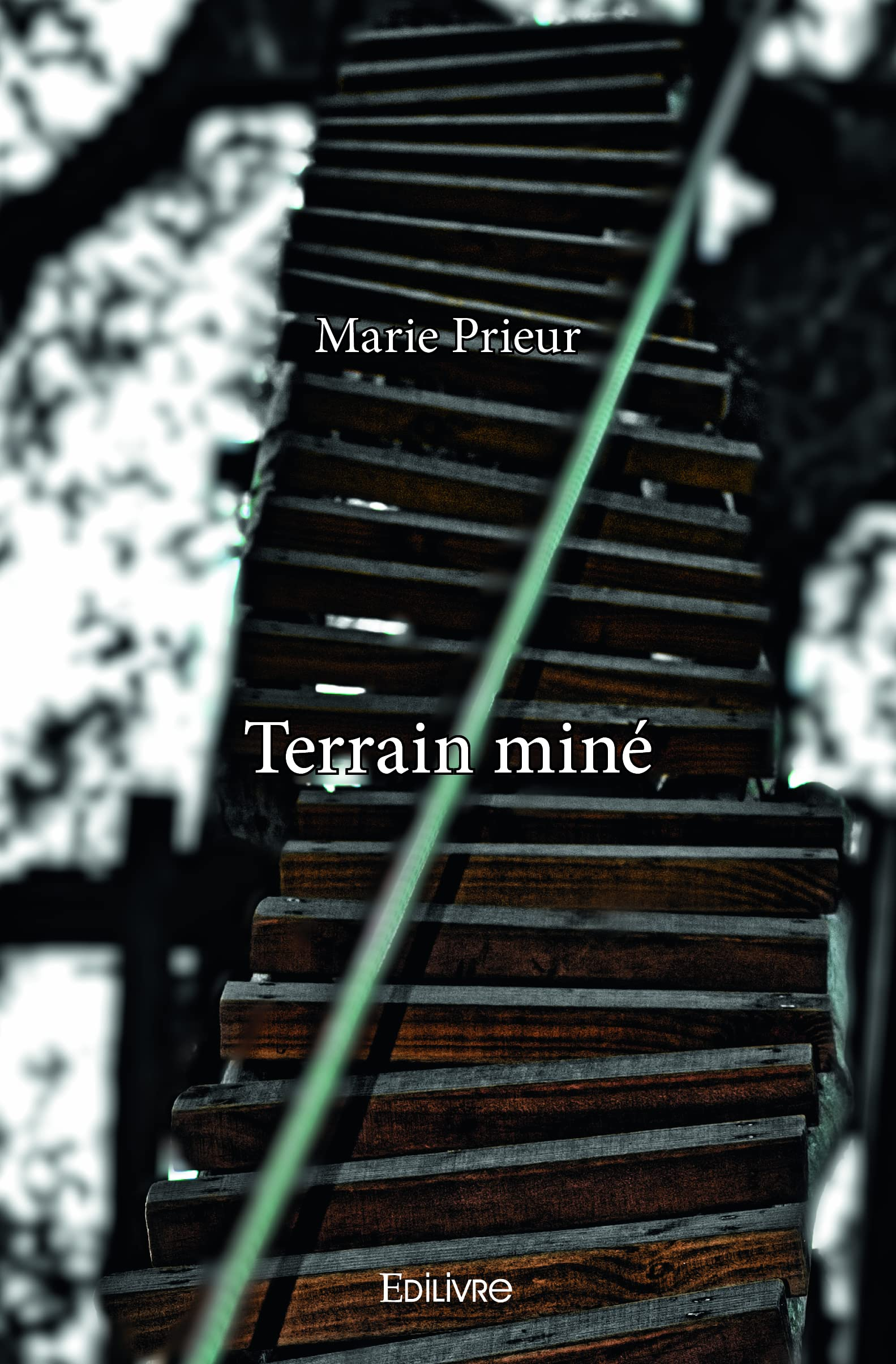 Terrain miné