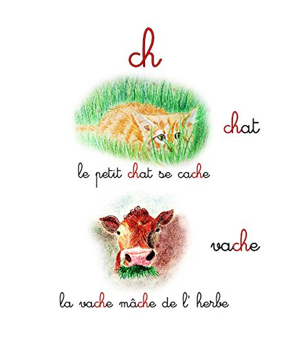 Je Commence a lire avec les Phonemes - pédagogie Montessori