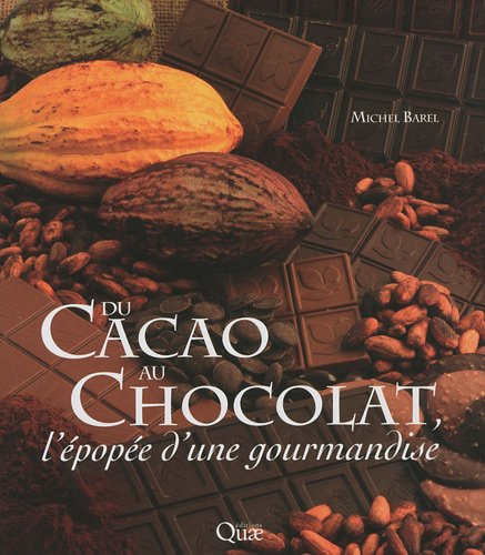 Du cacao au chocolat : l'épopée d'une gourmandise