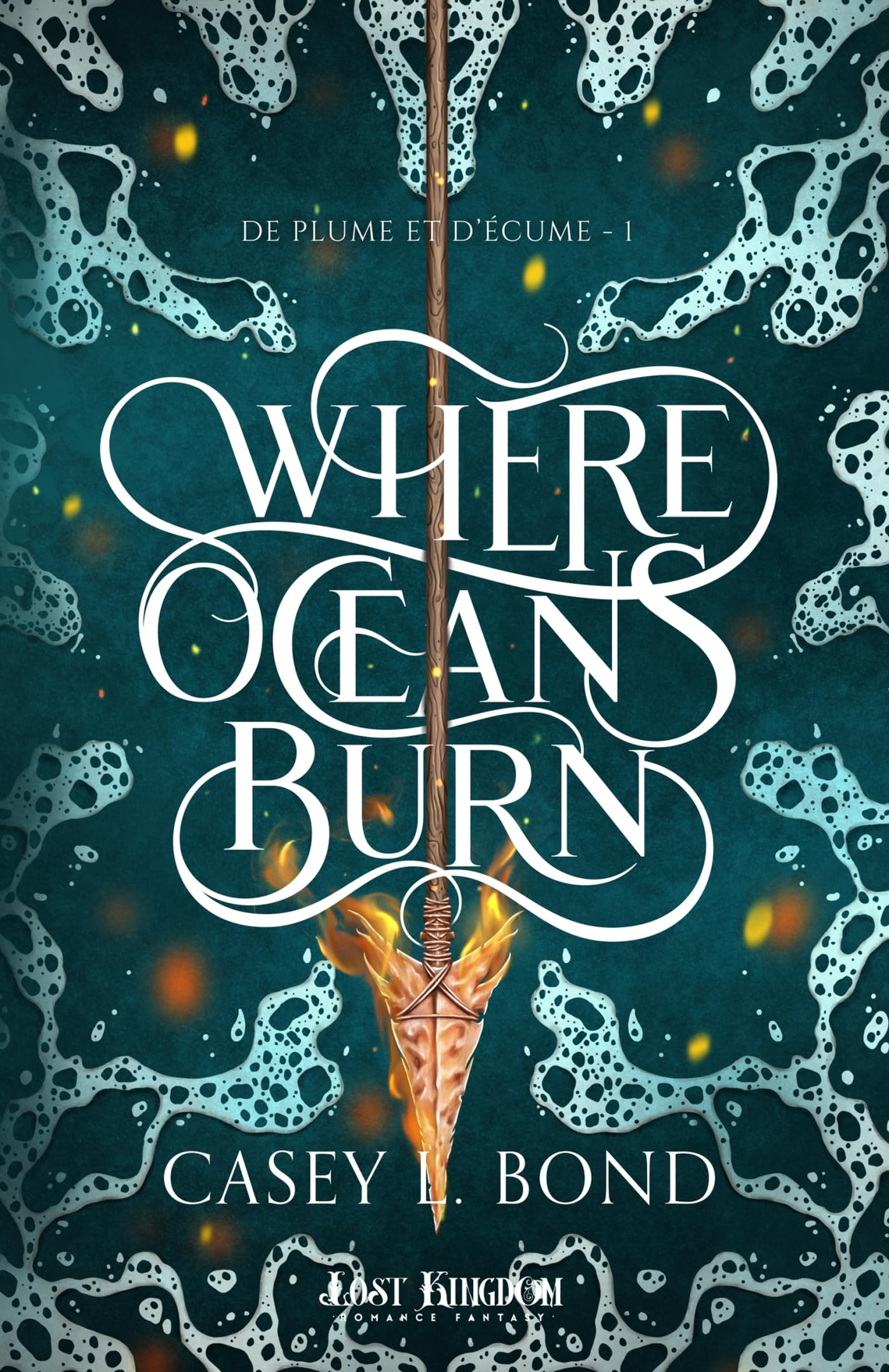 Where Oceans burn T01 : Where Oceans Burn 1