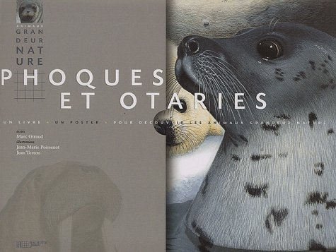 Phoques et otaries