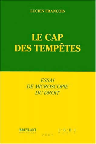 Le cap des tempêtes : essai de microscopie du droit