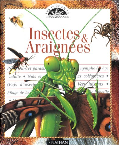 insectes et araignées