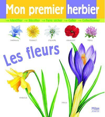 Mon premier herbier : les fleurs