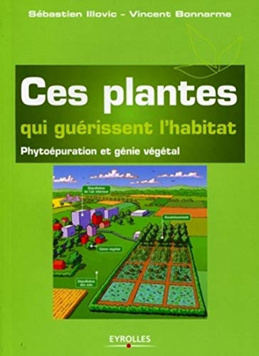 Ces plantes qui guérissent l'habitat : phytoépuration et génie végétal