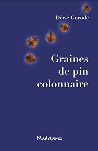 Graines de pin colonnaire