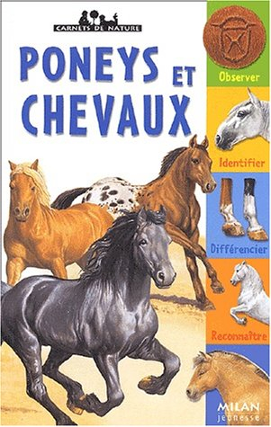 Poneys et chevaux