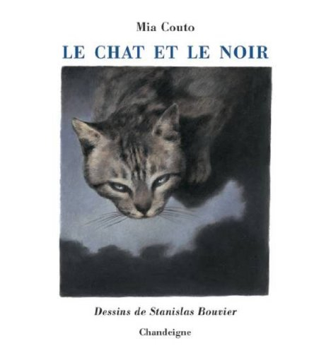 le chat et le noir