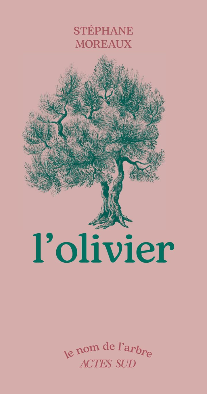 L'olivier