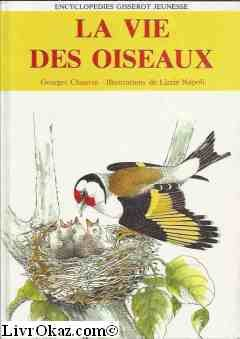 la vie des oiseaux