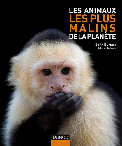 Les animaux les plus malins de la planète
