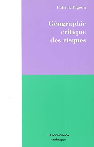 Géographie critique des risques