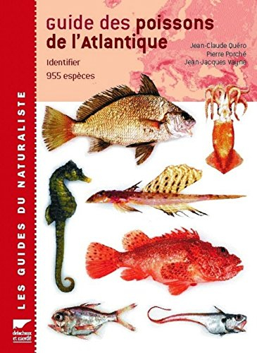 Guide des poissons de l'Atlantique européen : identifier 955 espèces