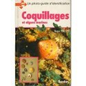 Coquillages et algues marines