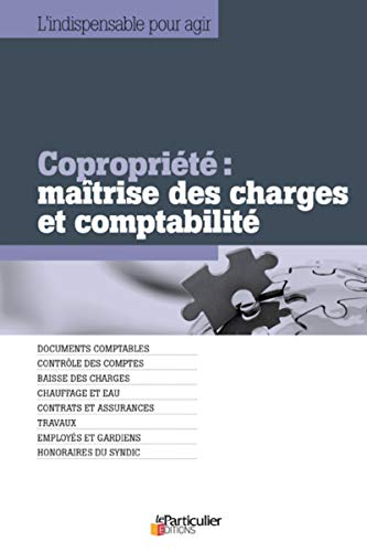 Copropriété : maîtrise des charges et comptabilité : documents comptables, contrôle des comptes, bai