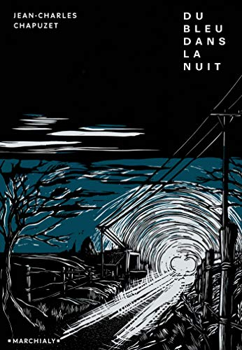 Du bleu dans la nuit : vingt-cinq heures dans la vie d'un flic