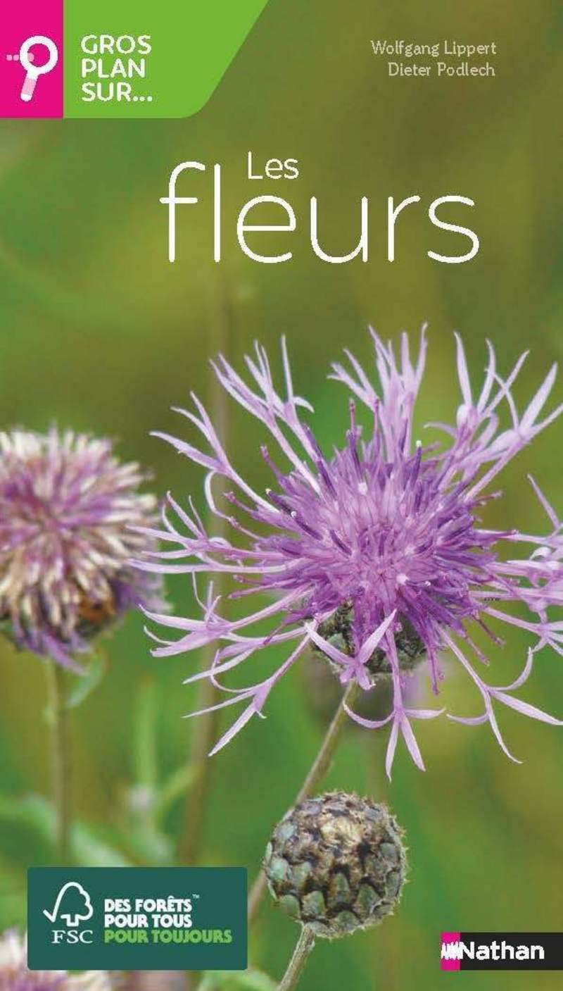 Gros plan sur... les fleurs