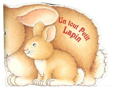 Un tout petit lapin