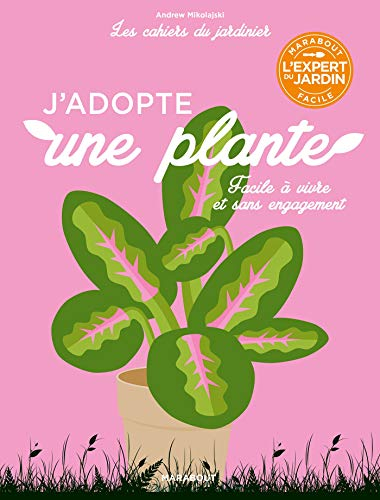 J'adopte une plante : facile à vivre et sans engagement