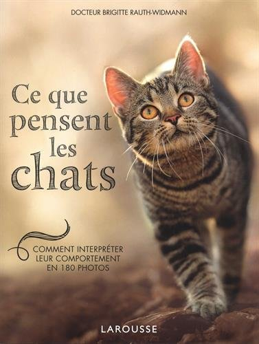 Ce que pensent les chats : comment interpréter leur comportement en 180 photos